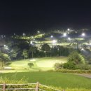 필드스크린 - 포항시 남구 하원로3번길 8 | 필드스크린