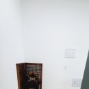 앨리스스튜디오 네이버블로그