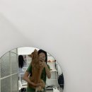 인포스튜디오