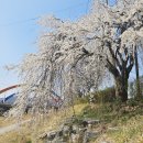 삼봉천 이미지