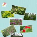 테마하우스민박 이미지