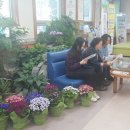 상남동주민센터 이미지