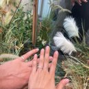 제이네공방 | 종로 귀금속 상가 갔다가 소울엔제이 공방까지 간 후기 종로웨딩링 업체 추천