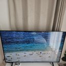 데이지풀빌라 | 서울 근교 인피니티풀 수영장펜션 포천 티볼리빌 스파 앤 풀빌라 데이지룸