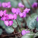 오늘 두시 이미지