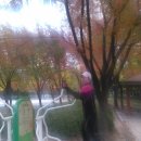 벽적골공원 이미지