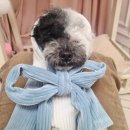 공주옷공방 이미지