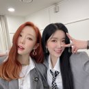 다원라이프