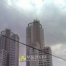 연제구-196 Daum카페
