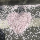 GS25수성덕일점 | 기쁨 뒤에 슬픔이 오는건 아름다운 마음이야