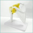 A0015 쇼핑하우