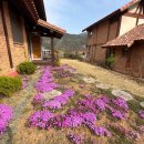 강빛사랑 이미지