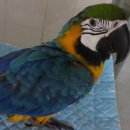 파스텔LC동물병원 이미지