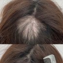 모텐셜의원 이미지