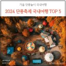 철암초등학교 | 2024 단풍축제 국내여행지 TOP5 - 위치, 기간, 행사내용