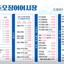 속초오징어어시장 구로디지털단지점 이미지