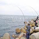 장사항 낚시점 이미지