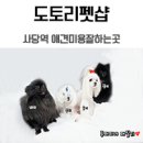 도토리펫샵 네이버블로그