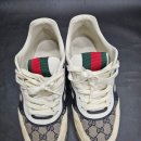 대한세탁 | 구찌 리 웹 스니커즈 세탁 누랬던 게 하애졌어요!