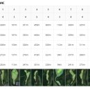 뉴골프존 이미지