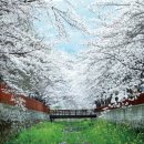 욕지여관 | 3월에 가기 좋은 국내 여행지 추천 BEST 5