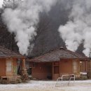 들꽃마을 이미지