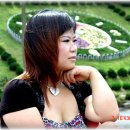 채우리 Daum카페