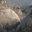 여주-1054 이미지