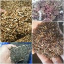 둔일농장 이미지