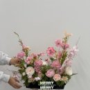 메리유플라워 이미지