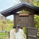 울릉관광옥천호텔 | 2025 옥천 일단 살아보기 1일차 (옥천수생식물원, 달빛마을, 의정부 부대찌개&amp;배부른생오리, 대청호텔)