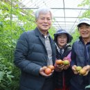 대저토마토산지유통센터 이미지