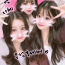 겨울 후쿠오카는 사랑 .. ♥︎
