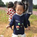 보민농장 이미지