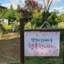 원통천 이미지