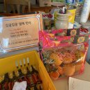 과수원피스