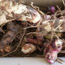 라온뜨락 이미지