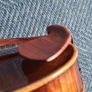 안스트링 이미지