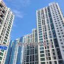 테넌바움공인중개사사무소 이미지