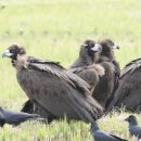 울산광역시야생동물구조관리센터 이미지