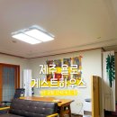 욜로190 | 🍊🍊제주 혼여 1일차, 제주 공항 근처 숙소 제주 욜로 게스트하우스 추천 후기
