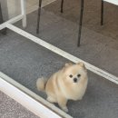 오토오아시스 롯데마트 첨단점 이미지