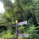 개와고양이 | 위치한 제주현대미술관 방문 후기 🖼️🎨 &lt;개와 고양이의 시간&gt;, &lt;나는 자유로소이다&gt; 전시 관람 후기 🐶🐱