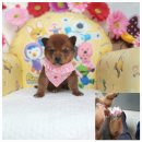 소답동225 이미지