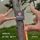해파랑길 | [러닝] 부산 해파랑길 2코스 후기(in 해운대~기장)
