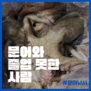 11545-05-15-07 | 여수 문어배낚시 끝물 재방문 후기｜여수빅보스호 졸업은 언제인가