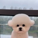 쓰리빈 이미지