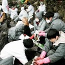 천운1호 이미지