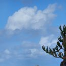 제주밥보장터 이미지