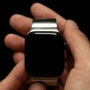 로즈플래닛 이미지